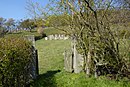 Jüdischer Friedhof, Heckeneinfriedung