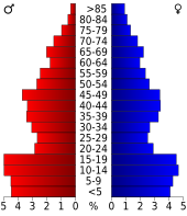 Bevolkingspiramide Castro County