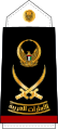 القوات البحرية الاماراتية