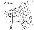 Image 15Charles Darwin's first sketch of an evolutionary tree from his First Notebook on Transmutation of Species (1837) (from History of biology)