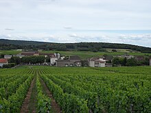 Usa ka kinatibuk-ang pagtan-aw sa Saint-Genoux-de-Scissé