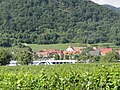 Battello tra i vigneti del Wachau