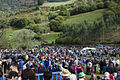 Feria de ganado en Cieza en 2013