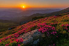 Dawn on mountain Vykhatiy Kamin. Ivano-Frankivsk region, Ukraine Photo by