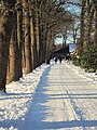 Abschnitt des Pickerwegs innerhalb der Hofanlage von Gut Füchtel