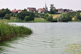 Blick über de Pfäffikersee uf Seegrebe