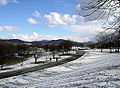 Rheinaue mit Blick auf das Siebengebirge