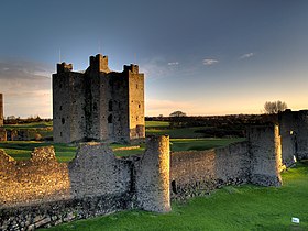 Image illustrative de l’article Château de Trim