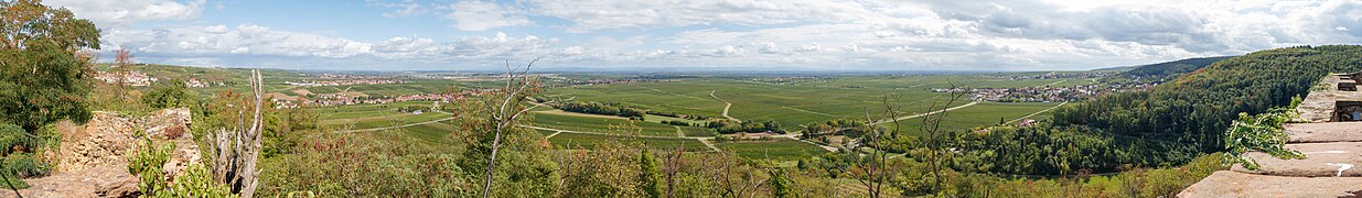 Blick von der Burg Battenberg auf die Oberrheinische Tiefebene