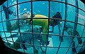 An instructor imposes an underwater problem on a student to assess their confidence level in the water when deprived of air.