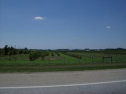 Although Turtlecreek Township is located in an increasingly developed area, it still includes agricultural land, such as this orchard