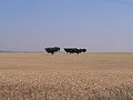 Campos de trigo del Bajo Alentejo