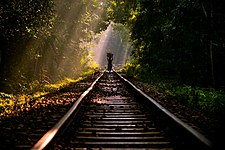 Railroad tracks through Lawachara National Park, Bangladesh, provide a convenient path. Photo by Pallabkabir