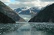 Tracy Arm