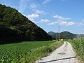 Wanju (Gui), South Korea - Juni 2016.