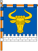 Flag of Zavorychi