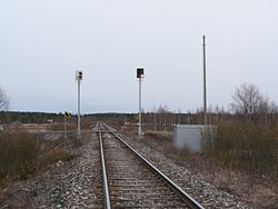 Niemenpää toukokuussa 2008.