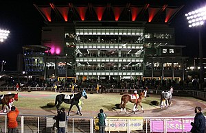 大井競馬場のパドックとL-WING