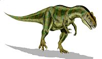 Rekonstruo de aspekto de la specio Allosaurus fragilis