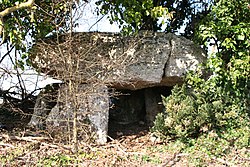 Image illustrative de l’article Dolmen de la Boucharderie