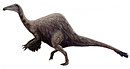 Deinocheirus mirificus