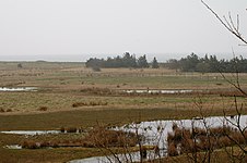 Wallnauer Niederung an der Ostsee, NSG Wallnau/Fehmarn