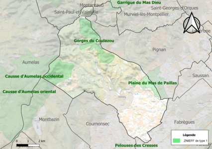 Carte des ZNIEFF de type 1 sur la commune.