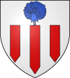 Former blason of Pau