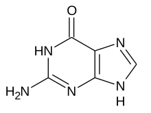 Guanina formula.svg