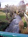 La Hure dans le village (fév. 2010)