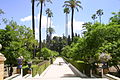 Jardin de l'Alcazar à Seville