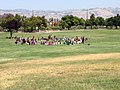 People on a park lawn with mountains in background