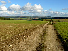 Paesaggio dell'Alta Marna in prossmità di Laferté-sur-Aube a ovest.