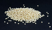 Millet grains