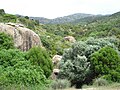 Paysage du djebel Korbous dans le cap Bon.