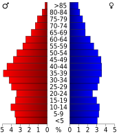 Bevolkingspiramide Hickman County