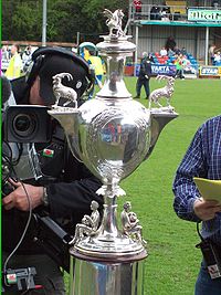 Piala Wales — pada tahun 2008