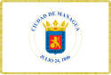 Dipartimento di Managua – Bandiera