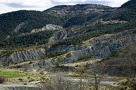 Margues a l'obaga de la Serra del Jordal, sota La Quadreta i al nord-est de la Penya de Rin de la Carrasca