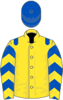 Yellow, royal blue epaulets, royal blue and yellow chevrons on sleeves, royal blue cap