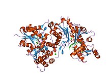 PDB 2q1n EBI.jpg