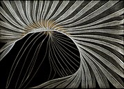 Palmetto Frond, pointe d'argent, Jeannine Cook