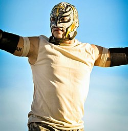 Rey Mysterio 2010.jpg