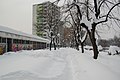 Winter scene at Grbavica on February 5, 2012