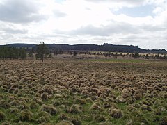 Tourbière de Longéroux.