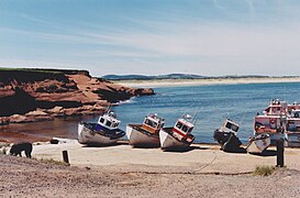 Old-Harry (Hamlet),[8] in port, 5 boats pulled on the wood-covered beach (slips) 1996