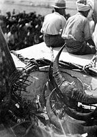 The horns of water buffaloes sacrificed in West Sumba Regency, c. 1936