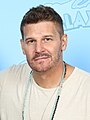 David Boreanaz