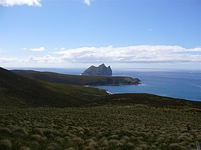 Photograph of Dent Island, from Campbell Island