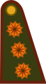 Argentina: General de División